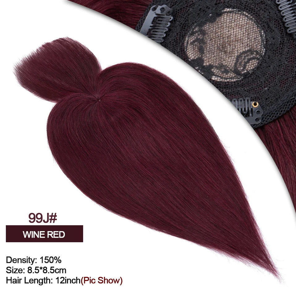 Rich Choices Women Topper 8.5x8.5cm Hair Toppers Natural Hair Clip In Wigs 100% Human Hair For Women Hairpiece