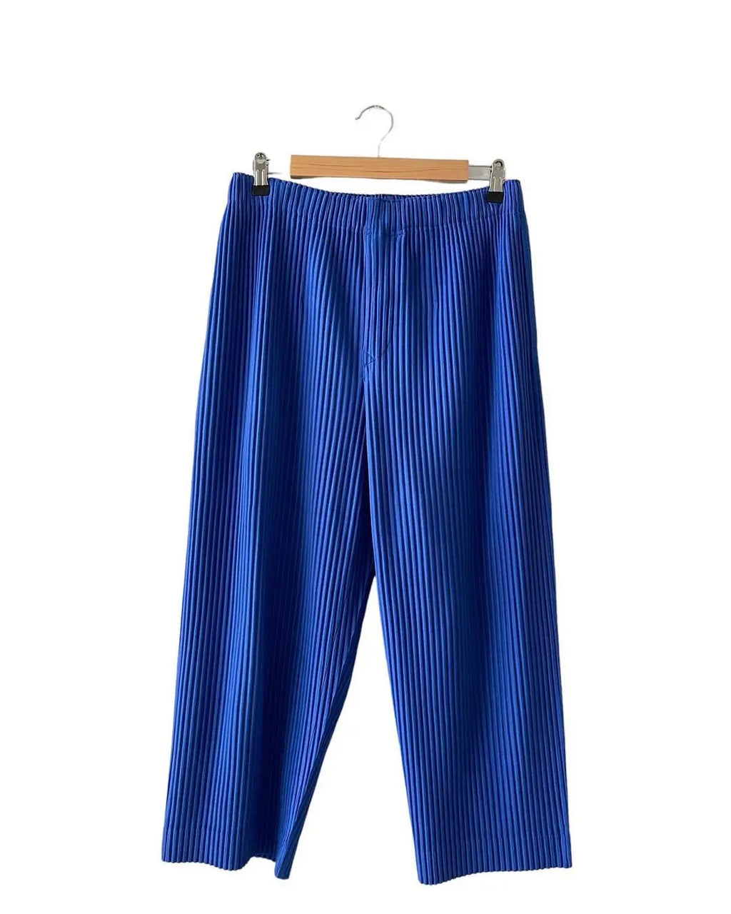 Pleats Pleated Commuter Pants Men's 2024 Autumn New Draped Elastic Trousers Casual Japanese Men Solid Color Nine Minute Pants