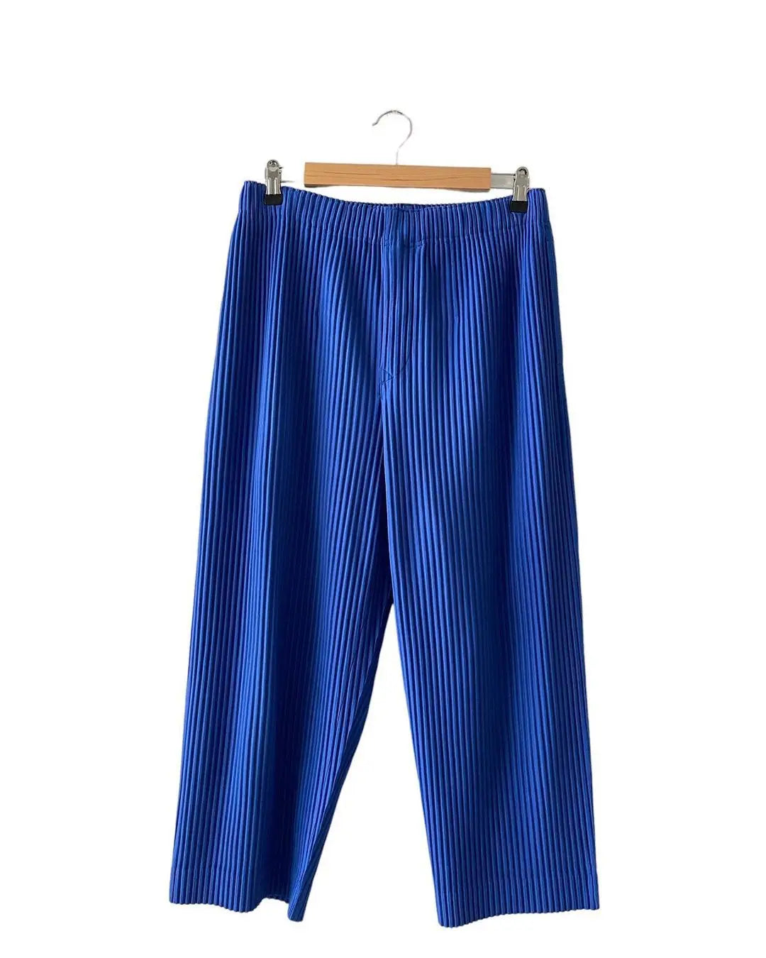 Pleats Pleated Commuter Pants Men's 2024 Autumn New Draped Elastic Trousers Casual Japanese Men Solid Color Nine Minute Pants