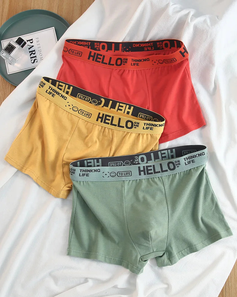 12 pieces Mens Underwear Men Cotton Underpants Male Pure Men Panties Shorts Breathable Boxer Shorts Comfortable soft Plus size