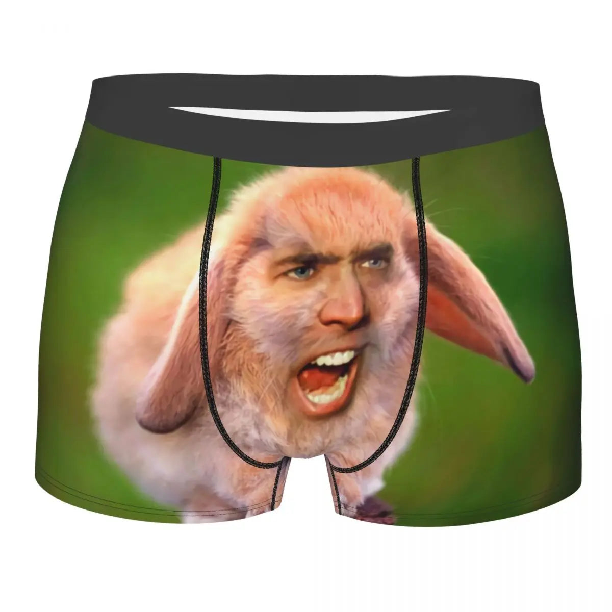 Custom Nicolas Cage Boxer Shorts For Homme 3D Printed Male Nic And His Girls Underwear Panties Briefs Breathbale Underpants