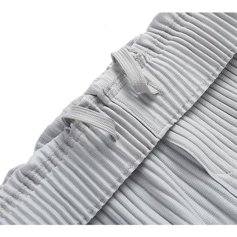 Pleats Pleated Commuter Pants Men's 2024 Autumn New Draped Elastic Trousers Casual Japanese Men Solid Color Nine Minute Pants