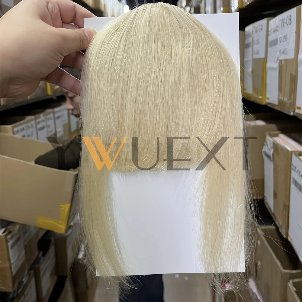 YWUEXT Blonde Clip-In Bangs Human Hair Pieces Real Natural Staight Hair 8 inch Bangs Clips in Fringe Bangs Hairpiece for Women