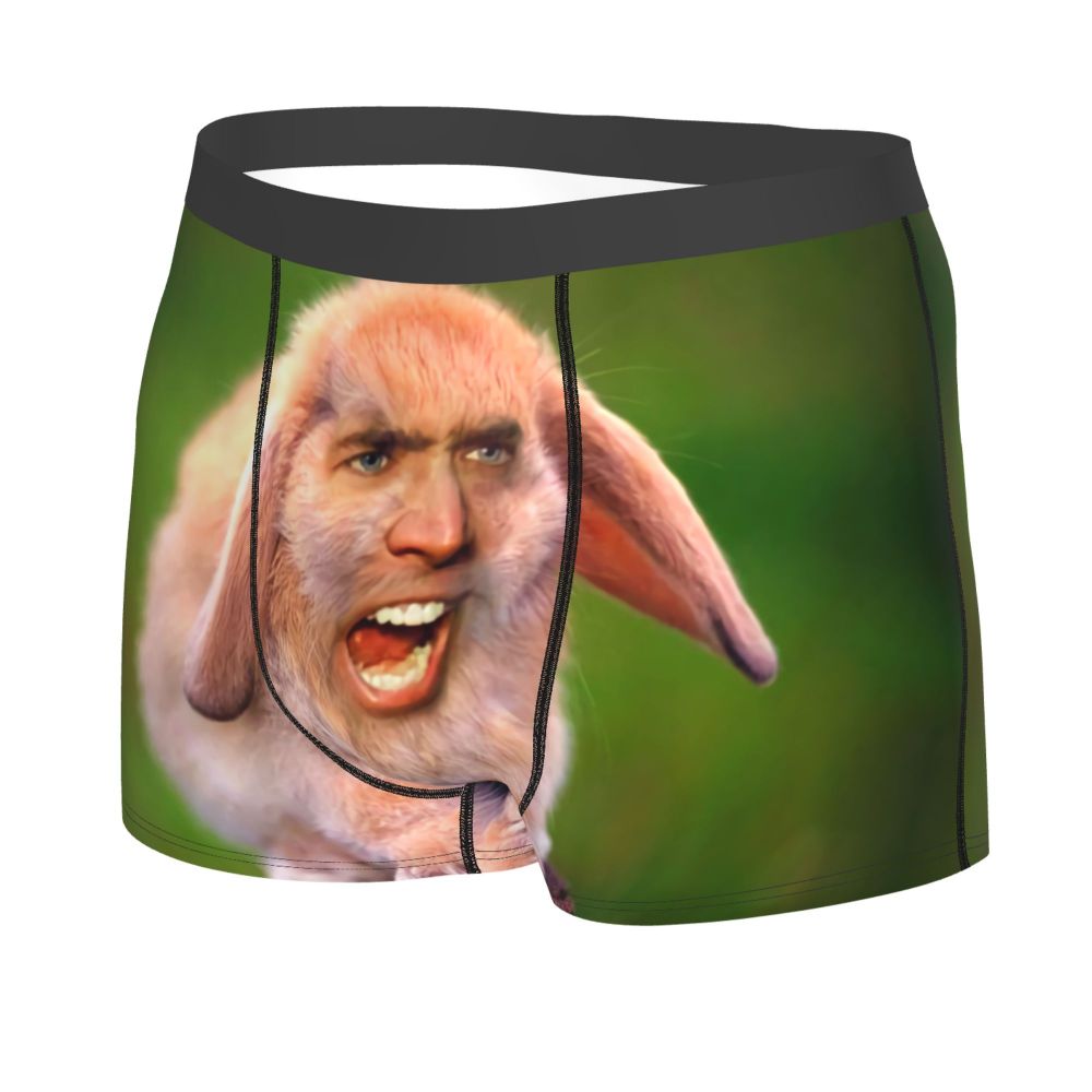 Custom Nicolas Cage Boxer Shorts For Homme 3D Printed Male Nic And His Girls Underwear Panties Briefs Breathbale Underpants