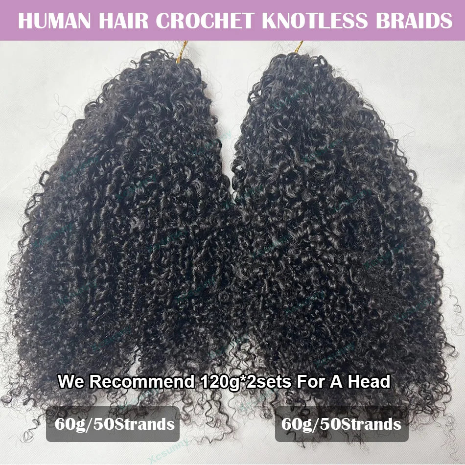Kinky Curly Crochet Human Hair Extensions Afro Kinky Pre-Separated Knotless Crochet Human Hair With Loop For Twist Boho Braids