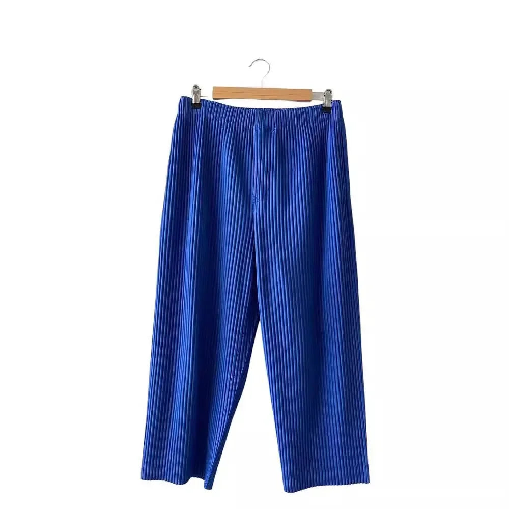 Pleats Pleated Commuter Pants Men's 2024 Autumn New Draped Elastic Trousers Casual Japanese Men Solid Color Nine Minute Pants
