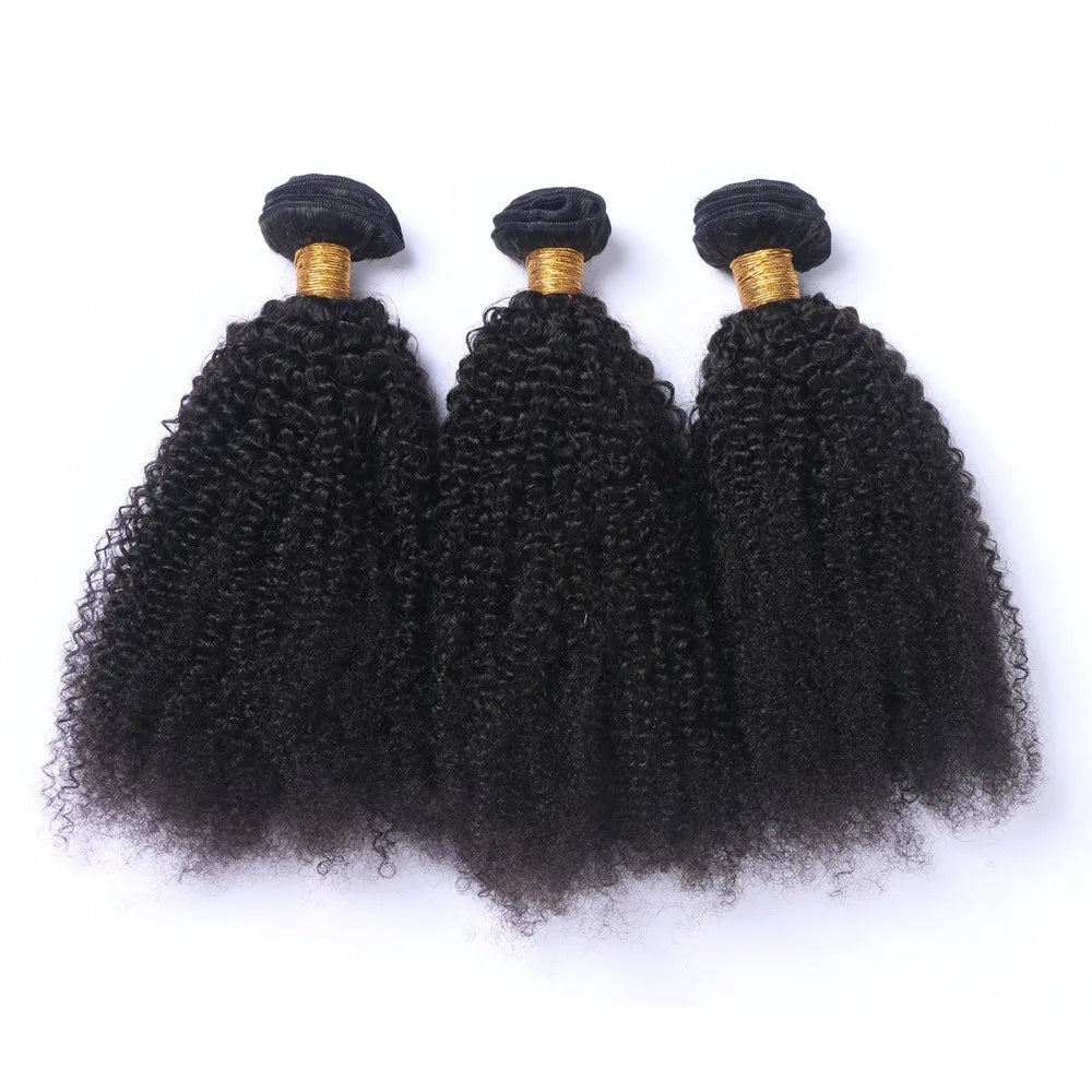 12A Afro Kinky Curly Human Hair 3 Bundles with 4x4 Lace Closure Virgin Human Hair Weaves 3 Bundles with 1 Closure 4Pcs Lot 8-24'