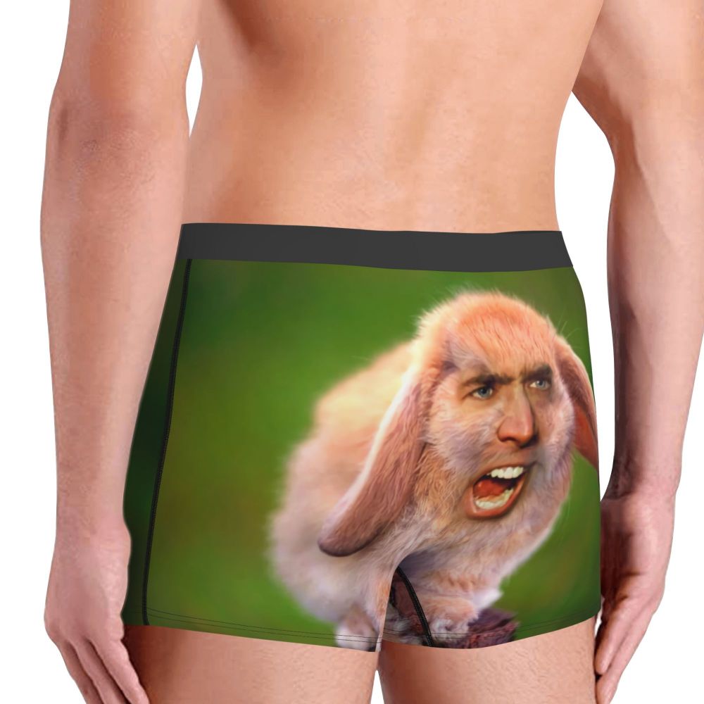 Custom Nicolas Cage Boxer Shorts For Homme 3D Printed Male Nic And His Girls Underwear Panties Briefs Breathbale Underpants