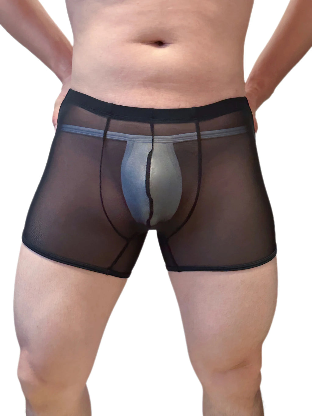 Mens Sexy Mesh Underwear Boxers Shorts Transparent Man Penis Pouch Panties Sheer Underpants Long Leg Boxershorts