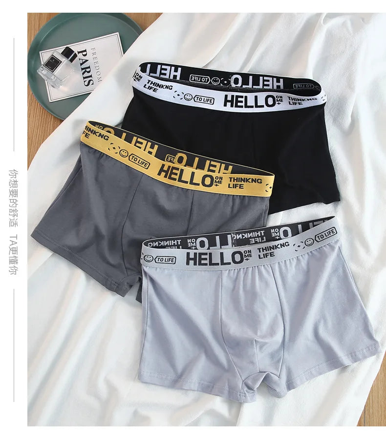 12 pieces Mens Underwear Men Cotton Underpants Male Pure Men Panties Shorts Breathable Boxer Shorts Comfortable soft Plus size
