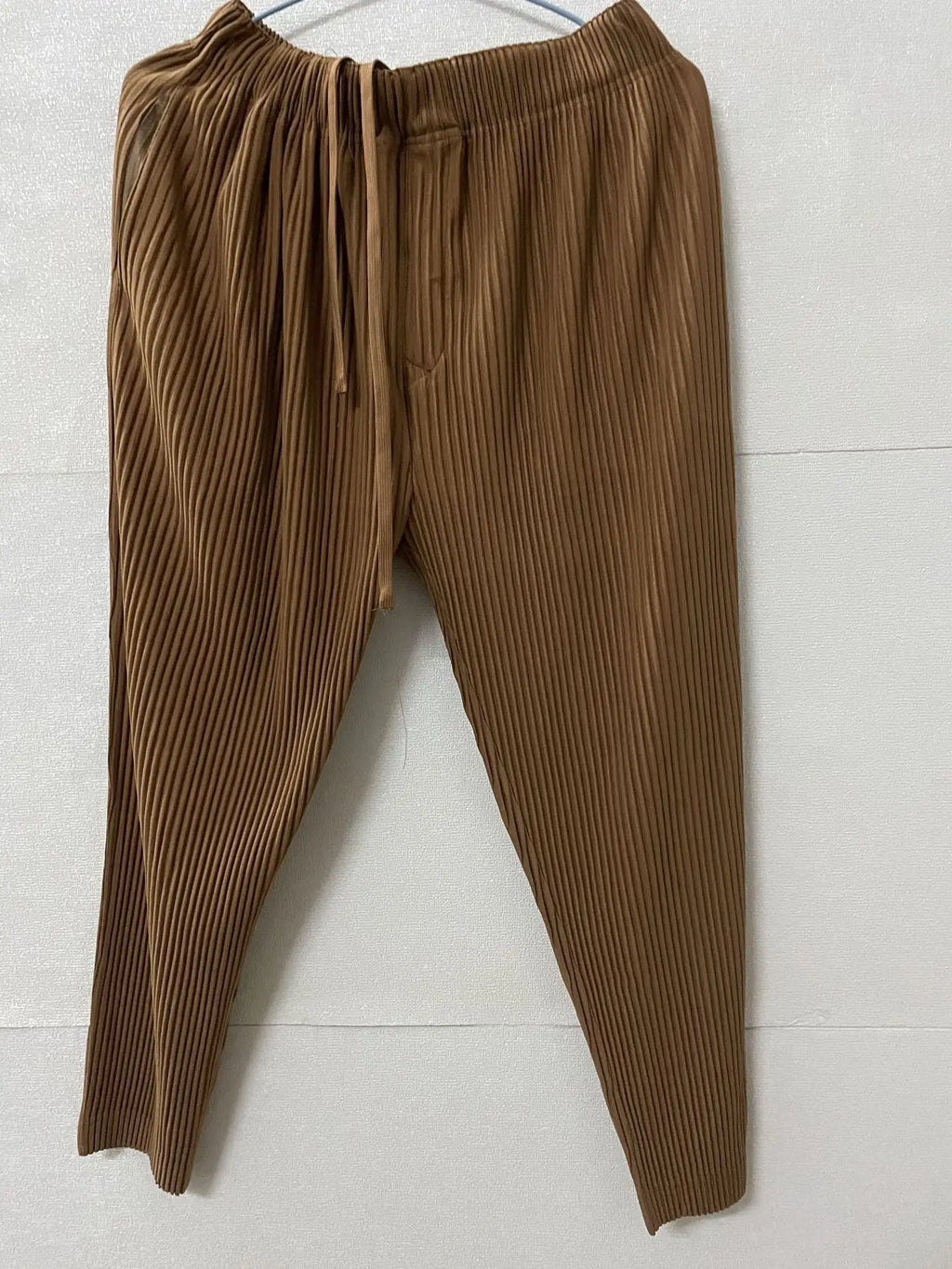 Pleats Pleated Commuter Pants Men's 2024 Autumn New Draped Elastic Trousers Casual Japanese Men Solid Color Nine Minute Pants