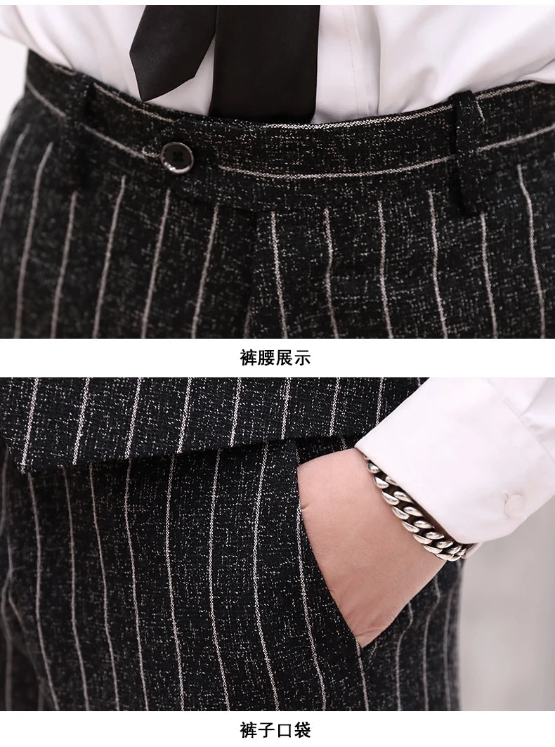 2025 New Burgundy Navy Plaid Casual Suit Pants for Men, Beige/Blue Vertical Stripe Non-Iron Slim Small Leg Work Trousers Men