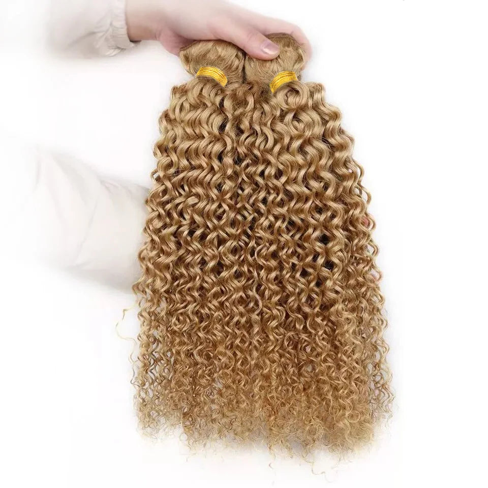 HairUGo Brazilian Kinky Curly Hair Bundles 27# Brown Remy 1/2/3 Kinky Curly Human Hair Weave Hair Extensions Blonde Hair Weaving