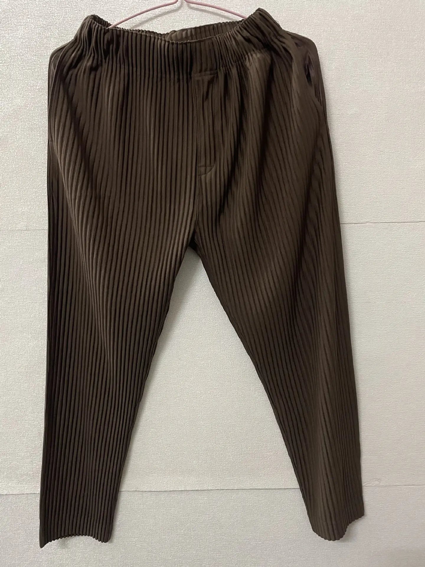 Pleats Pleated Commuter Pants Men's 2024 Autumn New Draped Elastic Trousers Casual Japanese Men Solid Color Nine Minute Pants